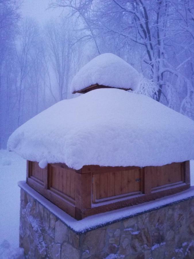 Chata Korenny Vrch Pezinska Baba ペジノク エクステリア 写真